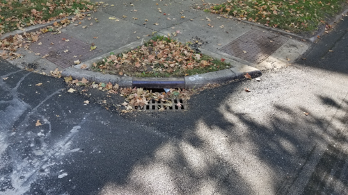 Niccolls St Resurfacing 03